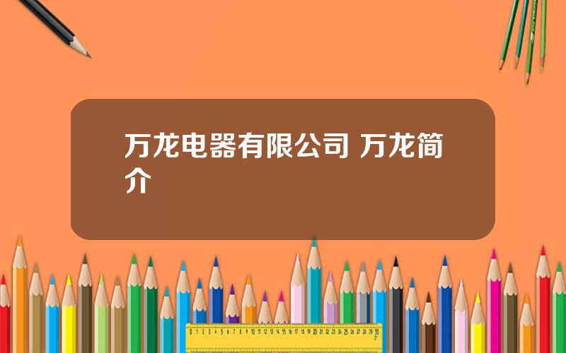 万龙电器有限公司 万龙简介